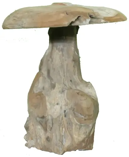 Artikelbild des Artikels “Pilz, Höhe ca. 30 cm. Hergestellt aus Teakholz Wurzel (Plantage). Modell S ist 30cm Höhe und Durchmesser 30cm - 5 kg. “